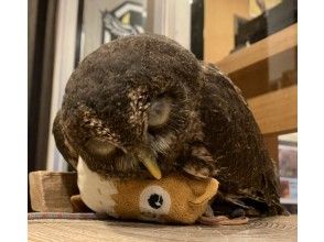 ~21:30/1時間毎