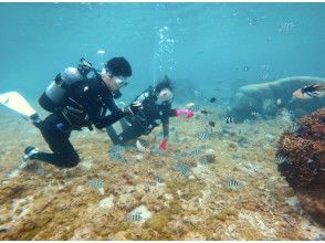 魚に餌付けをしてみよう♪