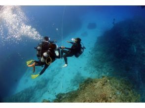 To the underwater tour!