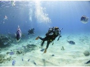 2nd dive