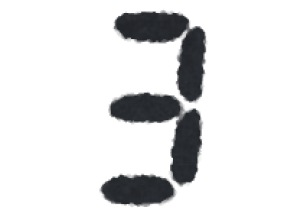 ナイトサファリツアーのルートへ移動(10分)