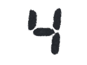 ナイトサファリツアー体験(120分)