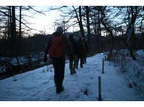 活動中（3月 戦場ヶ原）