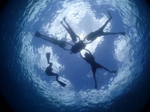 Let's enjoy the beautiful underwater world!