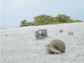 お散歩しまーす