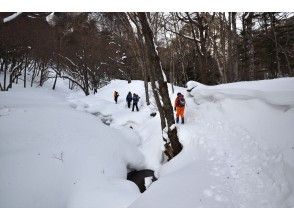 沢沿いのルート【外山沢】