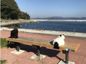 Arrival at Nintoda Port