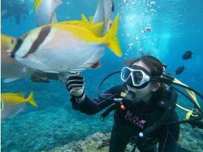 play with tropical fish