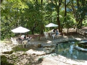 Enjoy lunch time in the shade of a tree ♪