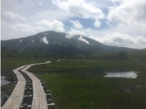 どこまでも続く木道
