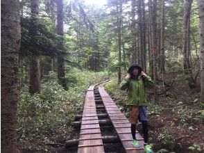U-turn to Hatomachi Pass!