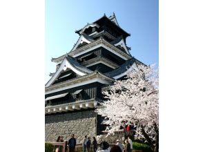 熊本城 (熊本市中央区)