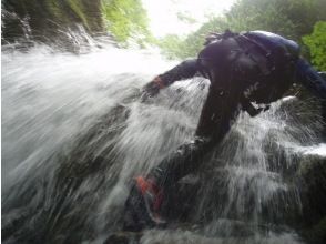 Shower climbing