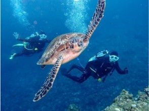 海の中はストレスフリー♪