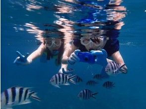 Snorkeling (optional)