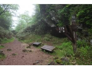 山道を行く