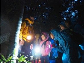 見つけた生きものを観察！