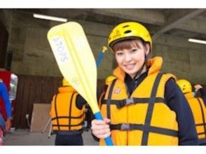 Pick up paddle
