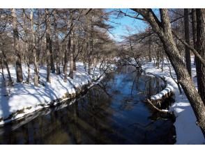 後半は湯川沿いに下ってみる