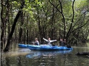 マングローブクルージング