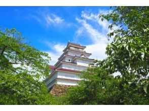 Tsuruga Castle (Tenjokaku)