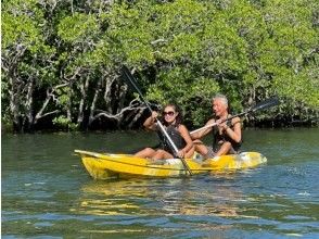 マングローブスタート