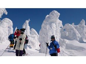 樹氷原を散策