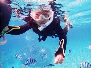 熱帯魚と泳ごう♪