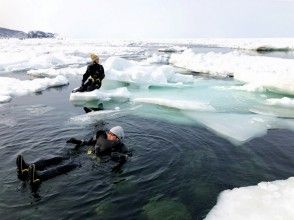 流氷ウォーク