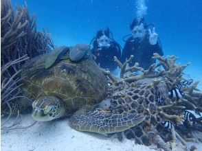 Diving at the second point!