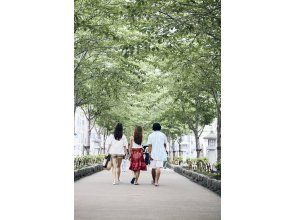 Take a walk around Kamakura