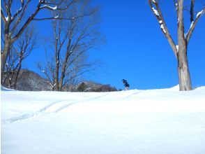 綺麗な冬の森で遊びましょう！