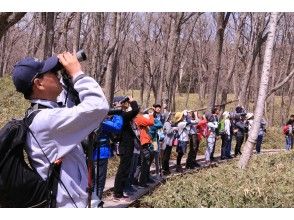 バードウォッチング