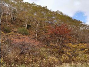 高山の紅葉もお楽しみください　※日光白根山の例です