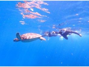 Snorkeling looking for sea turtles in the afternoon ♪