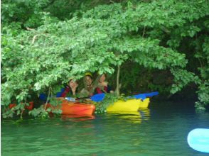 School of small fish