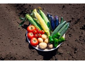 After the farming experience, have a souvenir of vegetables!