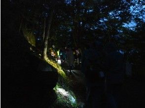 夜の森へ
