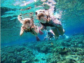 お次はケラマブルーの海に入って、水中探検！