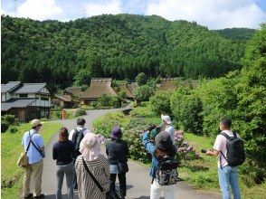 美山かやぶきの里 ガイドウォーク