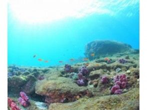 underwater on the beach