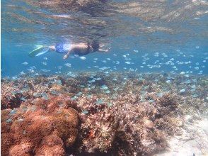 水族館のような海中世界で熱帯魚たちと一緒に泳ごう！