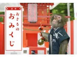 ~おみくじを引いて今日の運試し~