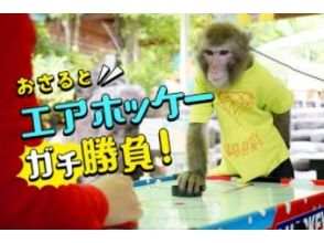 ~おさるさんとエアホッケー~