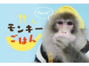 ~芸猿へ直接おやつをあげちゃおう!~