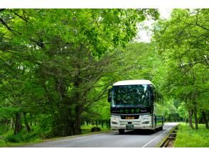 奥日光低公害バス乗車