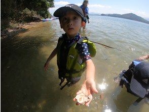 海の生き物を探索したり