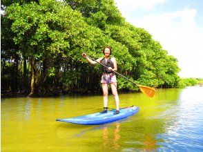 3. Mangrove SUP Tour