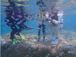 自然体験シュノーケリング体験中