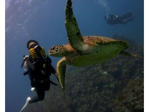 2回目のダイビング